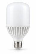 Room Shine 15W LED bulb on a white background